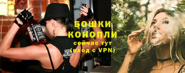 шишки Алексеевка
